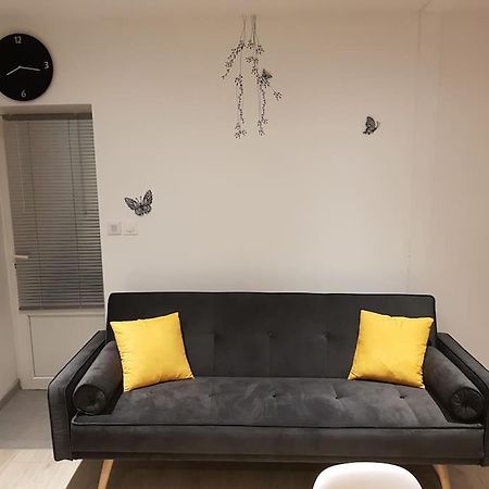 Appartamento Studio Place De La Barre Le Cosy Mâcon Esterno foto