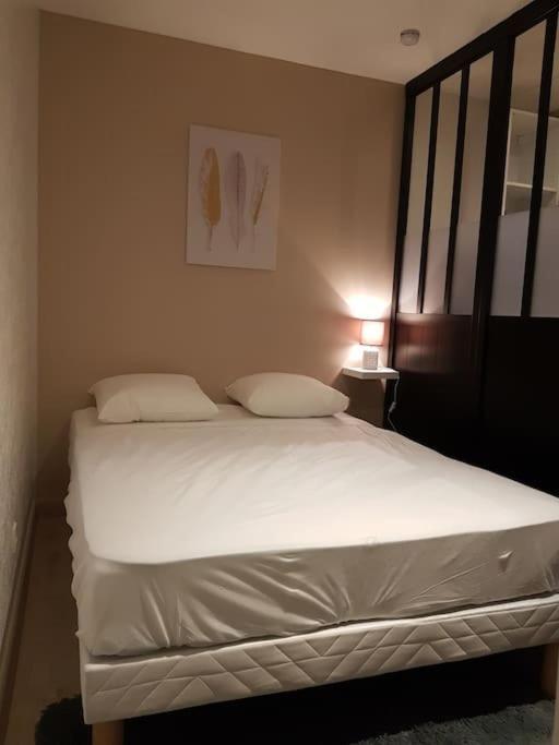 Appartamento Studio Place De La Barre Le Cosy Mâcon Esterno foto